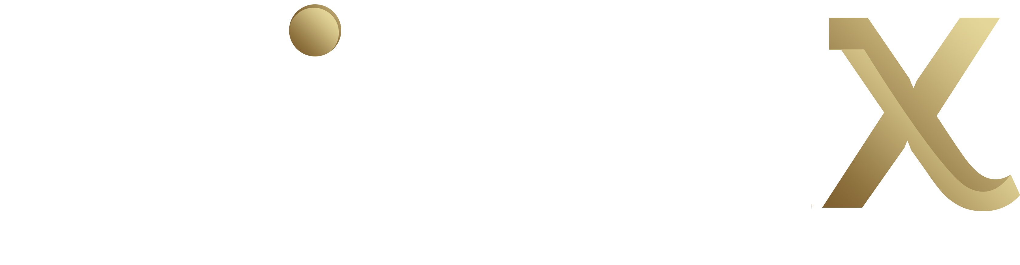 WickyX